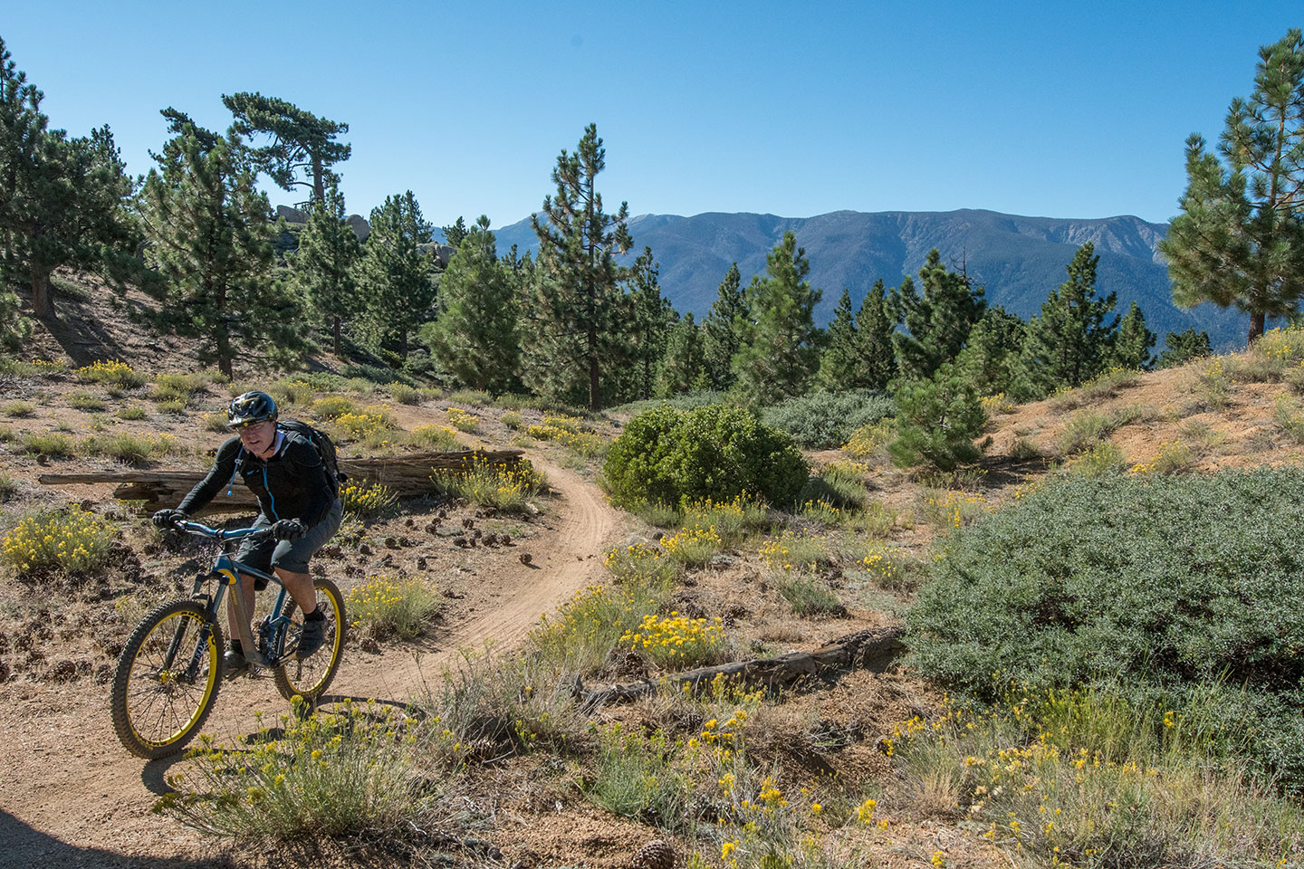 Bear mountain mountain bike trails online